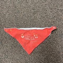 Slabbetje, amint azt Burgers' Zoo az iLost segítségével jelentette.