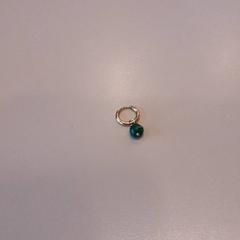 Brinco Groen en goud, como reportado por LUMC utilizando o iLost