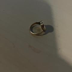 指輪 がiLostで Jaarbeurs によって報告されました