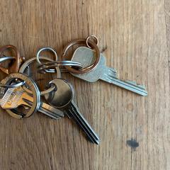 sleutelbos, jak zgłoszono do iLost