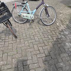 Batavus damesfiets, ha sido reportado por Stadswerk072 con iLost