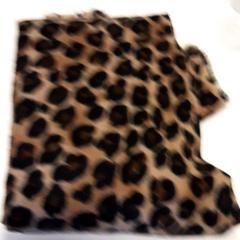 Vankúš, ako bolo nahlásené Qbuzz ZHN pomocou iLost