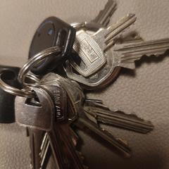 Sleutelbos, jak bylo nahlášeno na iLost