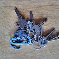 Sleutelbos, iLost에 보고됨