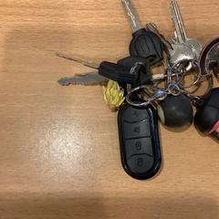 Kulcsok, amint azt Gemeente Amsterdam az iLost segítségével jelentette.