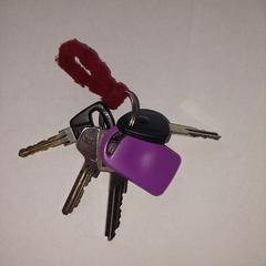 Sleutelbos, jak zgłoszono do iLost