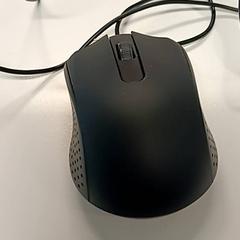 Rato, como reportado por Vrije Universiteit Brussel (VUB) utilizando o iLost