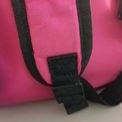 Borsa, come riportato da De Efteling utilizzando iLost