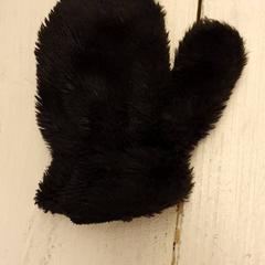 Rękawiczki Zwart, zgłoszono przez DierenPark Amersfoort przy użyciu iLost