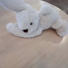 블랭키, iLost를 사용하여 IKEA Metz에 보고됨