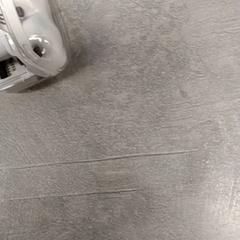 Oortjes Wit met Case, zoals gemeld door Arriva Friesland / Groningen met iLost