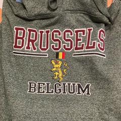 Sweater and blouse green، كما تم الإبلاغ عنه بواسطة Sheraton Brussels Airport Hotel عبر iLost