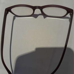 Lunette de vue marron, iLost를 사용하여 TCL에 보고됨