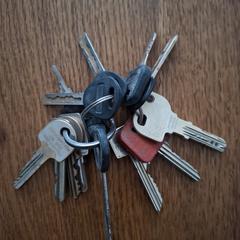 Sleutelbos, as reported to iLost