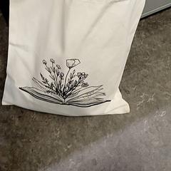 Sac, a été signalé par Qbuzz GD Groningen HS utilisant iLost