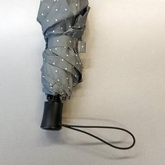 Paraplu, som rapportert av Centraal magazijn ved bruk av iLost