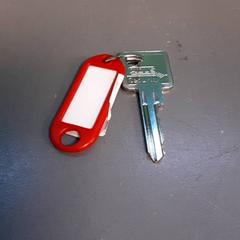 Nøkkel, som rapportert av Diergaarde Blijdorp ved bruk av iLost