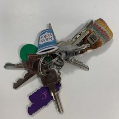 Sleutelbos, segundo informou a iLost