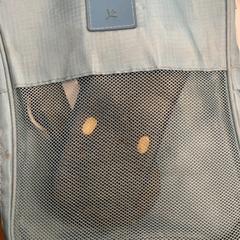 Bolsa, ha sido reportado por Inntel Hotels Amsterdam Centre con iLost