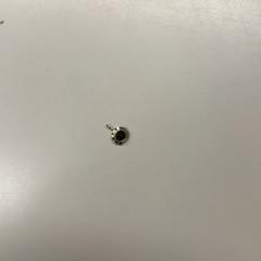 Pendente Goud met zwarte steen, segundo informou Burgers' Zoo usando iLost