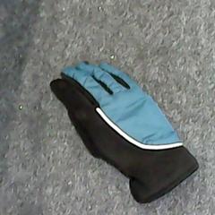 Handschoen, zoals gemeld door SnowWorld Landgraaf met iLost