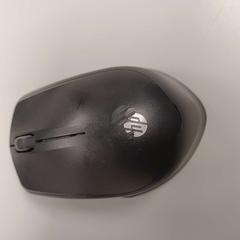 Topo, come riportato da Padualaan 101 utilizzando iLost