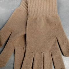 Guanti Bruin, come riportato da Arriva Friesland / Groningen utilizzando iLost