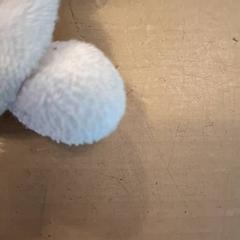 Bufetada de peluix, segons ha informat Avonturenboerderij Molenwaard mitjançant iLost