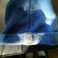 Muts, zoals gemeld door Burgers' Zoo met iLost