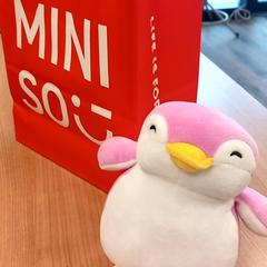 Bossa, segons ha informat RRReis Veluwe Zuid - Ede mitjançant iLost