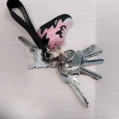 Porte-clés, a été signalé par Arriva Limburg Zuid utilisant iLost