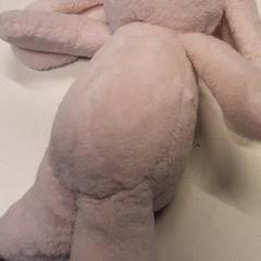 Peluix, segons ha informat Qbuzz ZHN mitjançant iLost