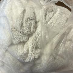 Bag, as reported by GVB using iLost