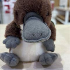 Peluche, ha sido reportado por IKEA渋谷 con iLost