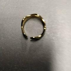 Ring Goud, as reported by Arriva Friesland / Groningen using iLost