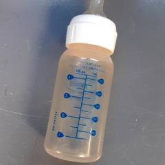 Botila, gisa salatu by Diergaarde Blijdorp iLost erabiliz