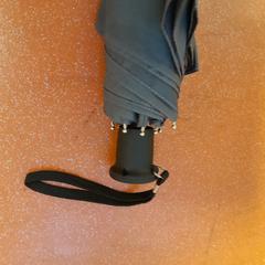 Aterkia tolesgarria gris, gisa salatu by TCL iLost erabiliz