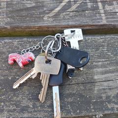 Sleutelbos, som rapporterats till iLost