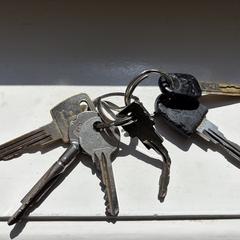 Sleutelbos, jak bylo nahlášeno na iLost