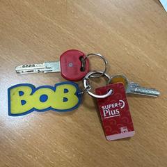 Llavero "BOB", Delhaize kaart, ha sido reportado por VITAZ campus Sint-Niklaas con iLost