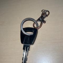 المفاتيح (متنوعة) ABUS، كما تم الإبلاغ عنه بواسطة Jaarbeurs عبر iLost