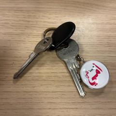 Nyckelring Met tag en sleutelhanger, rapporterat av Pathé Amsterdam Noord med iLost