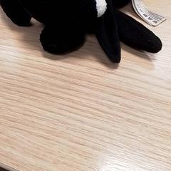 كنوفل Zwart، كما تم الإبلاغ عنه بواسطة Qbuzz Fryslân عبر iLost