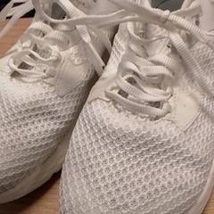 أحذية رياضية 2it، كما تم الإبلاغ عنه بواسطة Qbuzz Fryslân عبر iLost