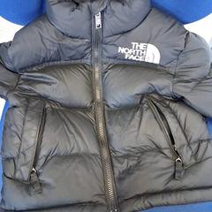 Jas Zwart, zoals gemeld door Familiepark Drievliet met iLost