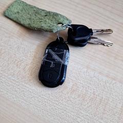 Giltzak Zwart, gisa salatu by Gemeente Roermond iLost erabiliz