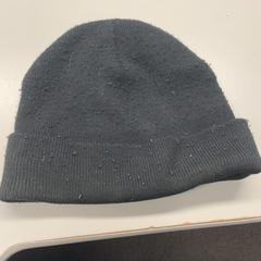 Muts Zwart, gemeldet von Burgers' Zoo über iLost