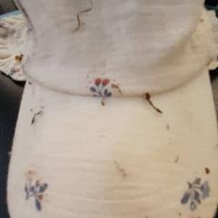 Cap Met bloemen patroon, as reported by DierenPark Amersfoort using iLost
