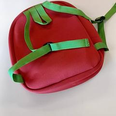 İLost kullanarak Regio Antwerpen - Brussel tarafından bildirildiği gibi Sırt çantası