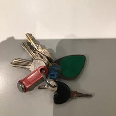 Nøkkelring, som rapportert av HvA Corry Tendeloohuis ved bruk av iLost